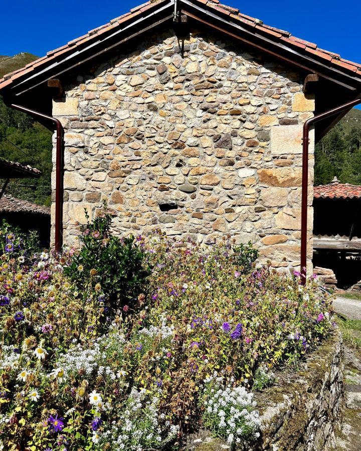 Villa La Casita De Olivia Espinaredo La Villa Esterno foto